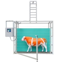 牛体尺智能测量系统